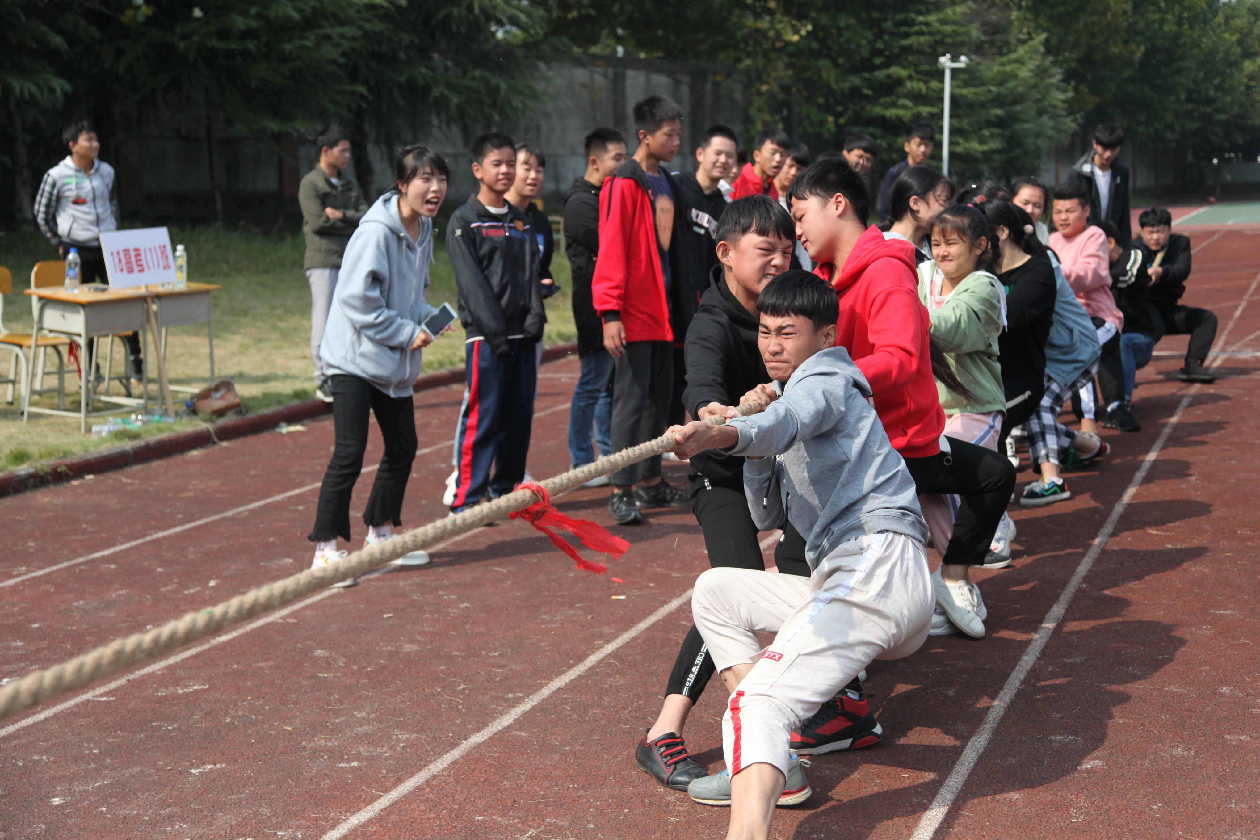 1016运动会 731.jpg